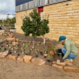 HdA_Vorgarten_Stand-Arbeiten-1_2025-10-26_480x480