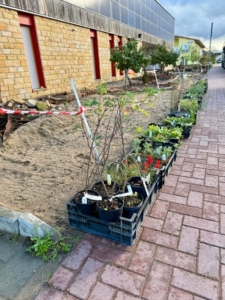 HdA_Vorgarten_Stand-Arbeiten-2_2025-10-26_480x640