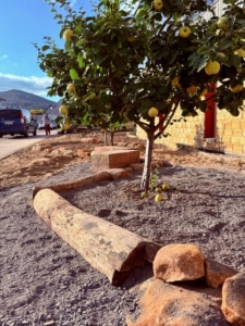 HdA_Vorgarten_Stand-Arbeiten-3_2025-10-26_480x640