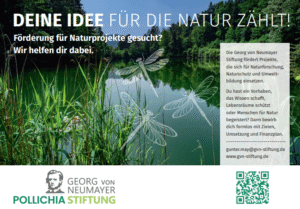 GvNS_Anzeige-Foerderungsangebot_Variante-A_Teaser